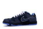 Nike SB Dunk Low Concepts Blue Lobster - 313170-342-gallery-4 - Acquista su ResellPiacenza