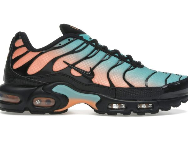 Nike Air Max Plus South Beach - DM0032-022 - Acquista su ResellPiacenza