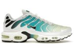 Nike Air Max Plus Dusty Cactus Barely Volt (Women's) - DZ3670-102 - Acquista su ResellPiacenza