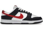 Nike Dunk Low Retro Red Swoosh Panda - FB3354-001 - Acquista su ResellPiacenza