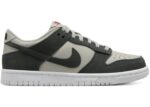 Nike Dunk Low Light Iron Ore White Gym Red Anthracite (GS) - FZ1000-001 - Acquista su ResellPiacenza