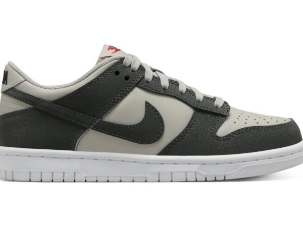 Nike Dunk Low Light Iron Ore White Gym Red Anthracite (GS) - FZ1000-001 - Acquista su ResellPiacenza