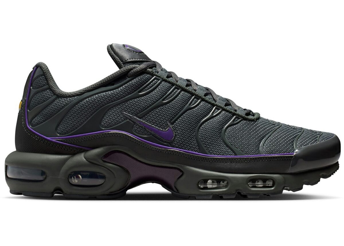 Nike Air Max Plus OG Iron Grey Wild Grape - HV8066-001 - Acquista su ResellPiacenza