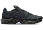 Nike Air Max Plus OG Iron Grey Wild Grape - HV8066-001 - Acquista su ResellPiacenza