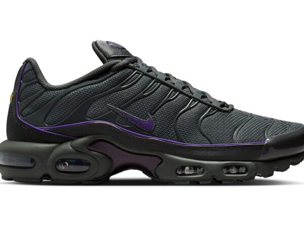 Nike Air Max Plus OG Iron Grey Wild Grape - HV8066-001 - Acquista su ResellPiacenza