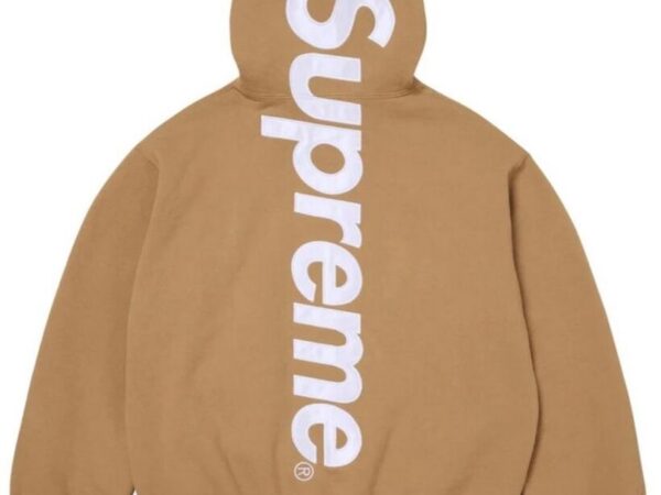 Satin Appliqué Hooded Sweatshirt (FW25, Tan)
