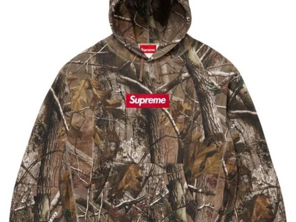 Box Logo Hooded Sweatshirt (FW25, Real Tree Camo)