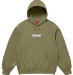 Box Logo Hooded Sweatshirt (FW25, Olive)