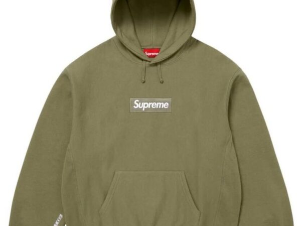 Box Logo Hooded Sweatshirt (FW25, Olive)