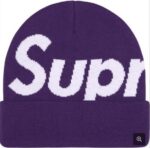 Big Logo Beanie (FW25, Purple)