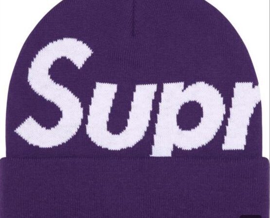 Big Logo Beanie (FW25, Purple)