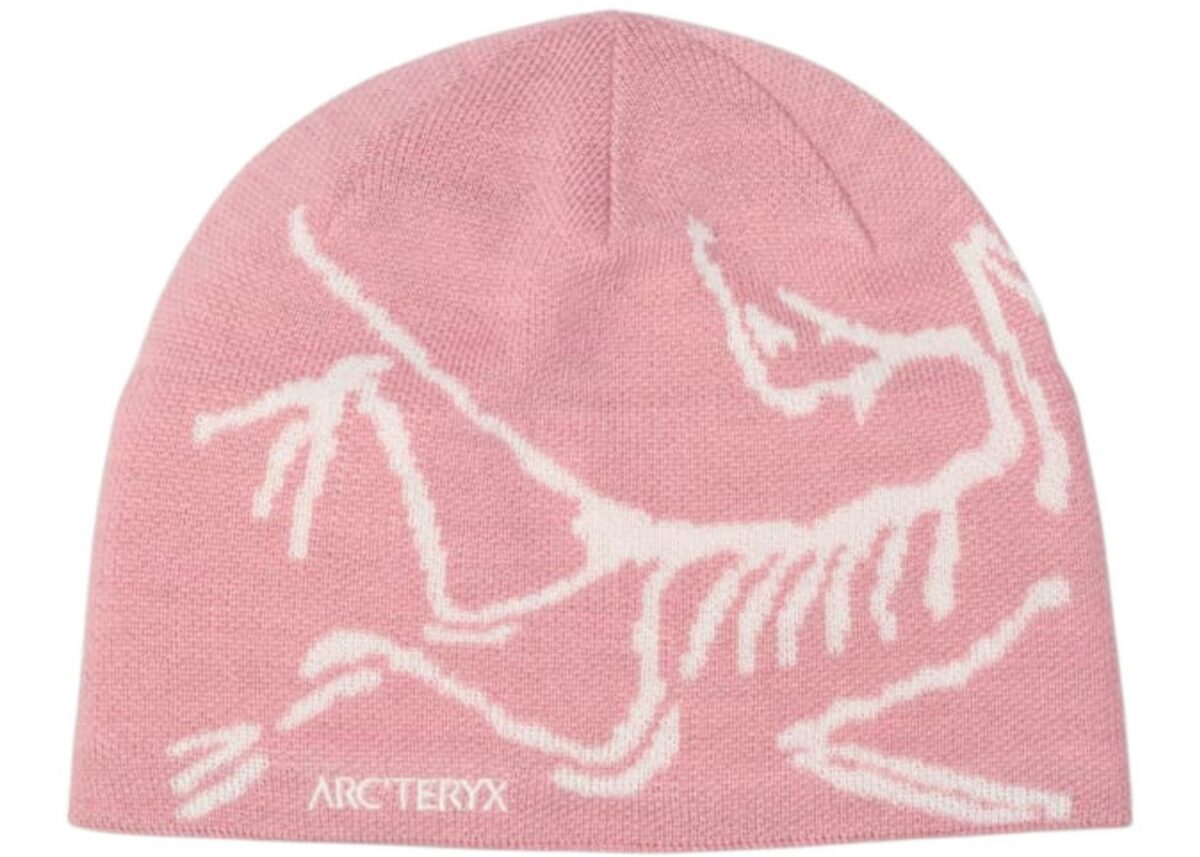 Arc'teryx Bird Head Toque Beanie Bliss/Artic Silk - arcteryx-bird-head-toque-beanie-bliss-artic-silk - Acquista su ResellPiacenza