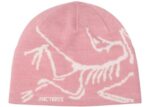 Arc'teryx Bird Head Toque Beanie Bliss/Artic Silk - arcteryx-bird-head-toque-beanie-bliss-artic-silk - Acquista su ResellPiacenza