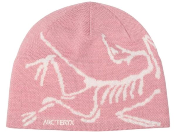 Arc'teryx Bird Head Toque Beanie Bliss/Artic Silk - arcteryx-bird-head-toque-beanie-bliss-artic-silk - Acquista su ResellPiacenza