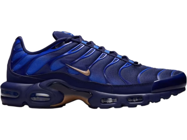 Nike Air Max Plus French Football Federation